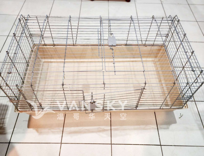 251023155857_Guinea 2.jpg